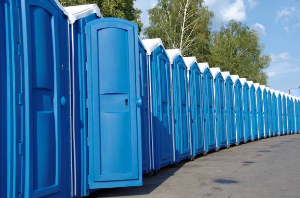 Best Luxury portable toilet rental  in Tuscola, IL
